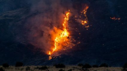 US Wildfire: अमेरिकेत निसर्गाचा भयानक कोप! वॉशिंग्टनच्या जंगलात 2.5 लाख एकरांवर वणव्याचे तांडव; गव्हर्नरकडून आणीबाणी जाहीर