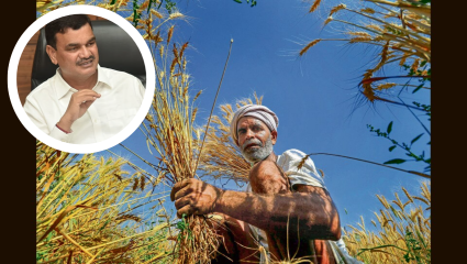 PM Crop Insurance : शेतकऱ्यांना मोठा दिलासा! पीक विम्याची मुदत 10 ऑगस्टपर्यंत वाढवली; कृषीमंत्री दत्तात्रय भरणे यांची माहिती
