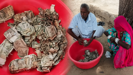 Destroyed Cash : 5 लाखांच्या नोटा किड्यांनी कुरतडल्या, बँकेनेही बदलण्यास दिला नकार? नेमका काय आहे नियम?