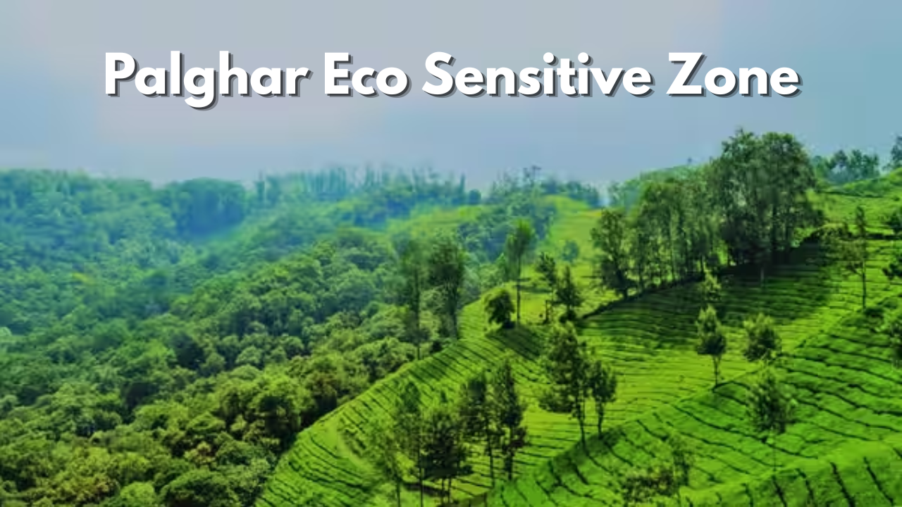 Palghar Eco Sensitive Zone : वाडा, मोखाड्यातील जमिनींना नव्या पाबंदी? केंद्राचा निर्णय; पालघरमध्ये 126 गावे इको-सेन्सिटिव्ह कक्षेत