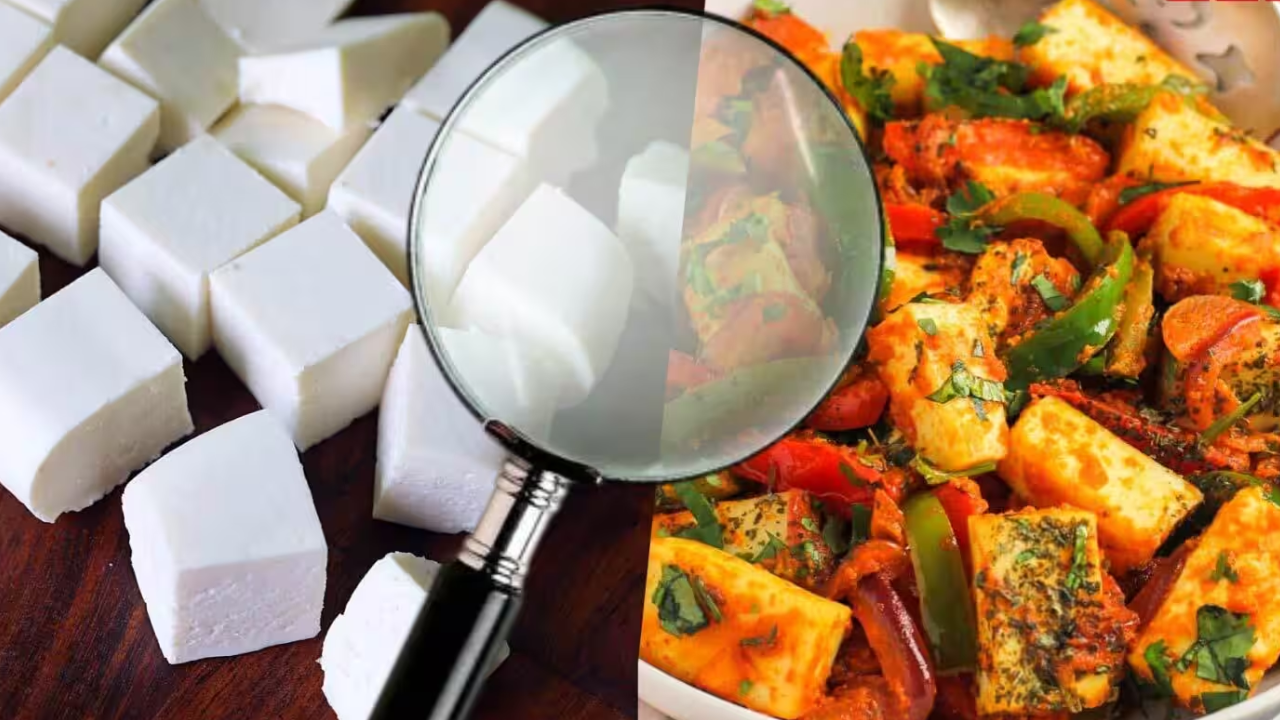 Analogue Paneer Ban : हिमाचल पाठोपाठ ‘या’ राज्यातही ‘ॲनालॉग पनीर’वर बंदी! तुमच्या ताटात तर नाही ना हे बनावट पनीर? कसं ओळखायचं?