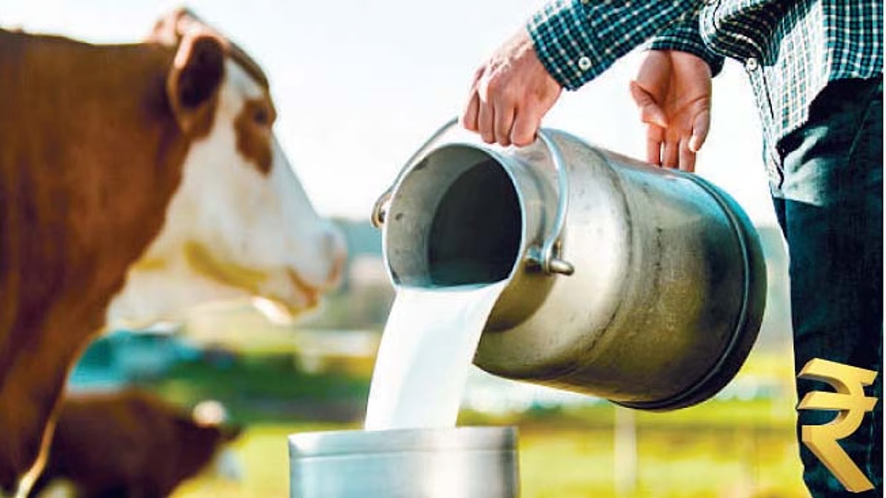 Milk Price Hike: दूध दरवाढीचा सर्वसामान्यांच्या खिशाला फटका; गाई-म्हशीचं दूध ‘इतक्या’ रुपयांनी महागलं; 11 ऑगस्टपासून नवे दर लागू