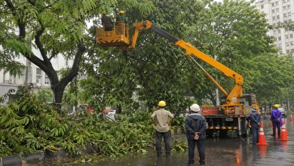 Mira Bhayandar News: २५ लाखांची उधळपट्टी? स्वतःची वाहने असतानाही झाडांच्या छाटणीसाठी खासगी वाहनांवर महापालिकेचा भर