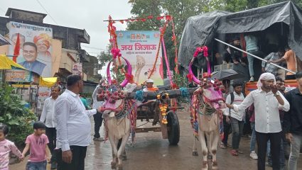 जिवंत नागांच्या पूजेने शिराळा पुन्हा चर्चेत ! 41 ठिकाणी सशर्त अधिकृत परवानगी