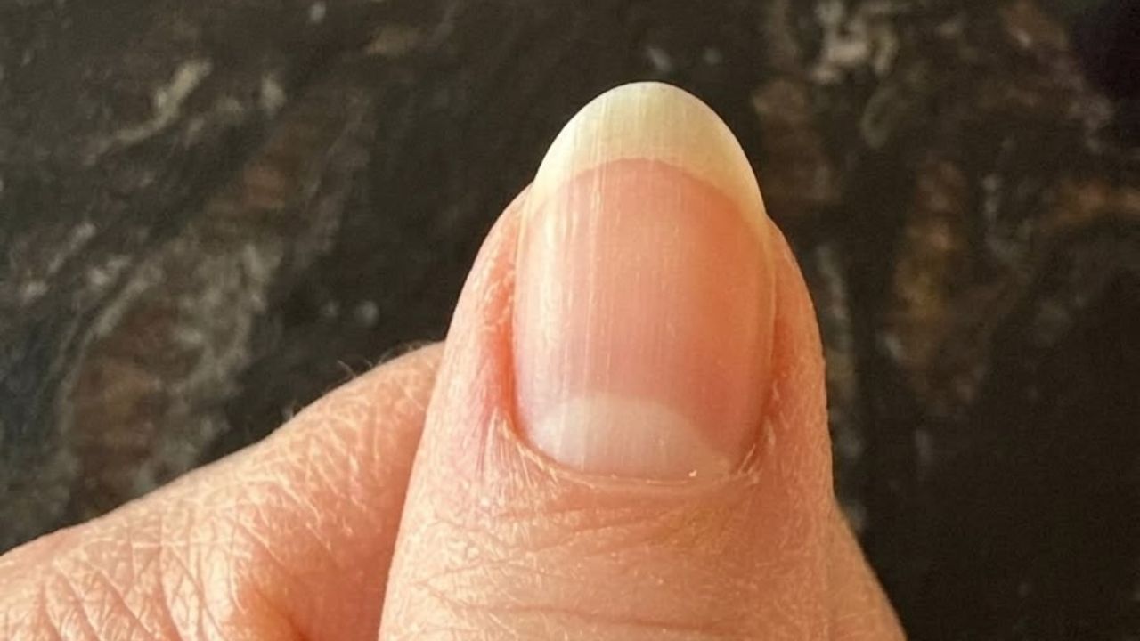 Palmistry: अंगठ्यावरील ही चिन्हे मानली जातात शुभ, मिळते धन, समृद्धी आणि मान-सन्मान