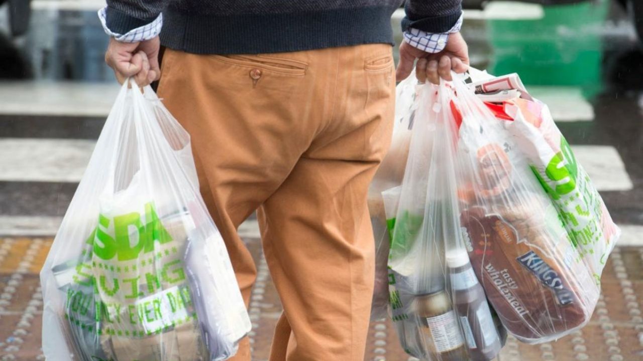 Plastic Bag Free Day: प्लास्टिक पिशव्यांचा अतिवापर ठरतोय पर्यावरणाचा काळ; ‘हा’ एक पर्याय बदलू शकतो भविष्याचे चित्र