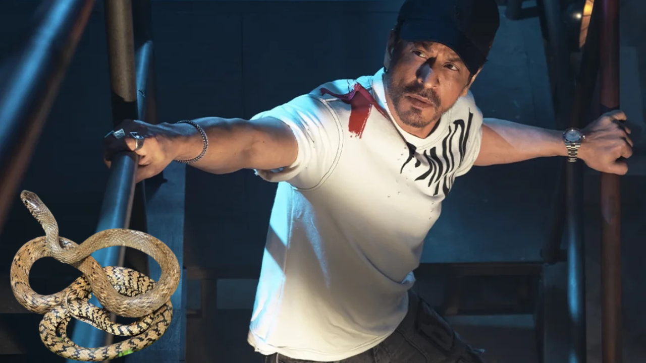 Shah Rukh Khan: शाहरुखच्या ‘मन्नत’ मध्ये घुसले २ साप, एक पकडला एक अजूनही गायब; कुटुंब सुखरूप