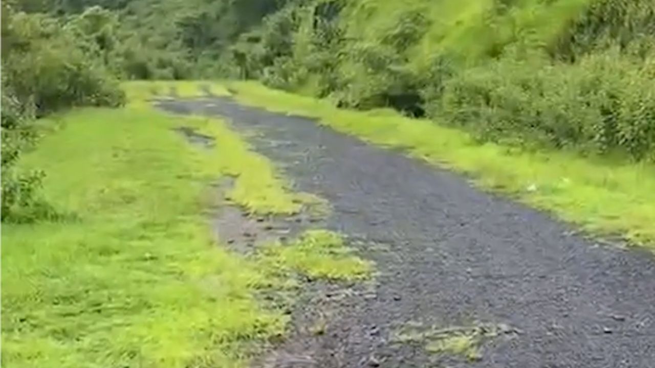Pune Municipal Corporation : विकासनिधीवरून BJP-NCP आमनेसामने, धीरज घाटेंचे सुनेत्रा पवार यांना पत्र