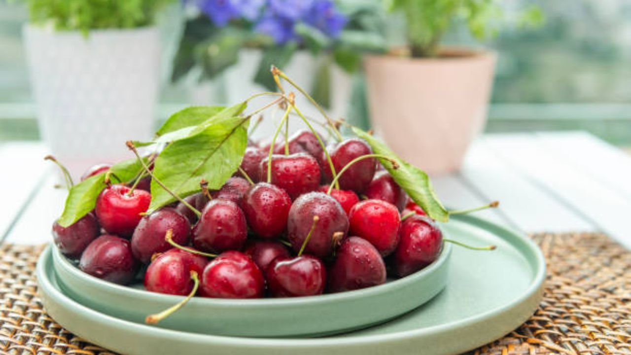 Benefits Eating Cherries: चेरी ठरेल सुपरफूड! रोगप्रतिकारशक्ती वाढण्यासोबतच त्वचेवर येईल चमकदार ग्लो