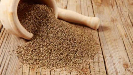 पोटात साचून राहिलेल्या गॅसमुळे अपचनाच्या समस्या वाढल्या आहेत? ‘या’ पद्धतीने करा ओव्याचे सेवन, पचनक्रिया राहील सुरळीत