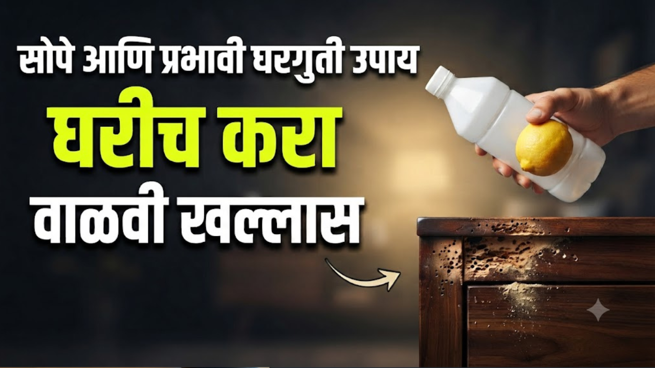 घरातील लाकडी फर्निचरला अचानक वाळवी लागल्यास ती नष्ट करण्यासाठी सोपे आणि प्रभावी घरगुती उपाय कोणते? जाणून घ्या
