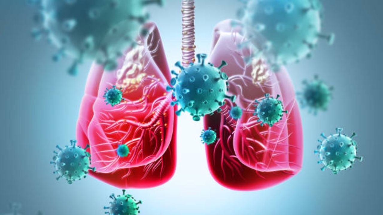 Health Update: टीबी निदानासाठी ‘नॅट’ चाचणी वापर वाढवण्याची गरज! ग्रामीण भागात जुन्या तंत्रज्ञानाचा वापर