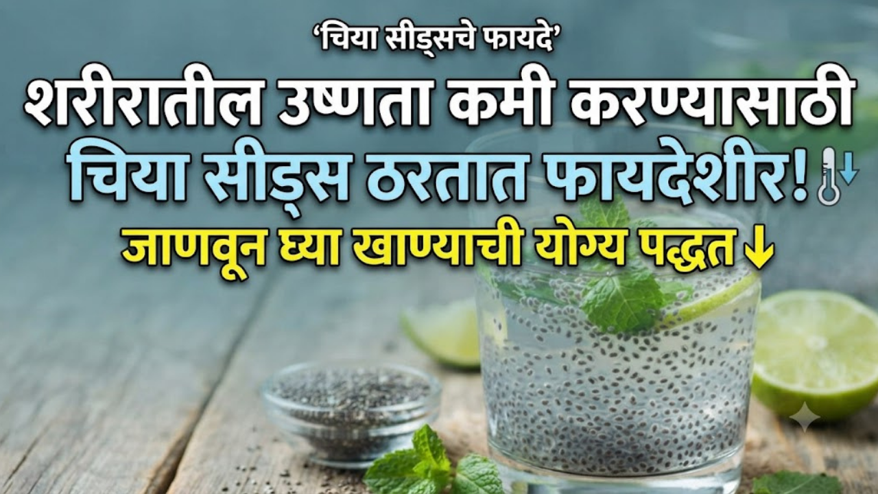 Chia Seeds Benefits: शरीरातील उष्णता कमी करण्यासाठी चिया सीड्स ठरतात फायदेशीर; जाणून घ्या खाण्याची योग्य पद्धत!
