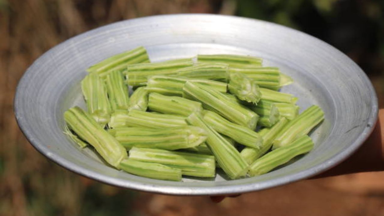 शेवग्याच्या शेंगांचे सेवन केल्यामुळे शरीरात वाढलेला थकवा, अशक्तपणा, उष्माघात आणि शरीरसंबंधित आजारांपासून सुटका मिळते. याशिवाय रोगप्रतिकारशक्ती सुधारते.