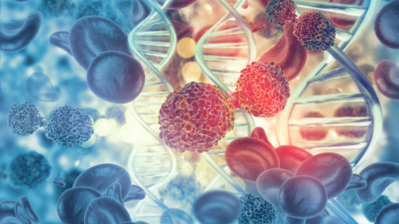 Cancer चा धोका लवकर ओळखण्यासाठी नियमित आरोग्य तपासणीतील कोणते घटक महत्त्वाचे ठरू शकतात? जाणून घ्या सविस्तर