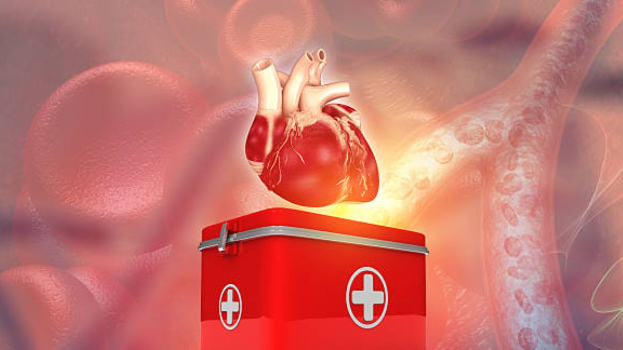 Health Update: अवयवदानातून मिळते इतरांना नवजीवन! अमरावतीत विविध उपक्रम; गैरसमज दूर करून जागृतीची गरज