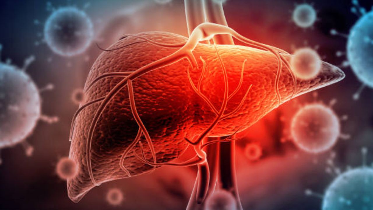Liver Detox Drink: सडलेले लिव्हर आतून होईल स्वच्छ! उपाशी पोटी नियमित करा ‘या’ पेयांचे सेवन