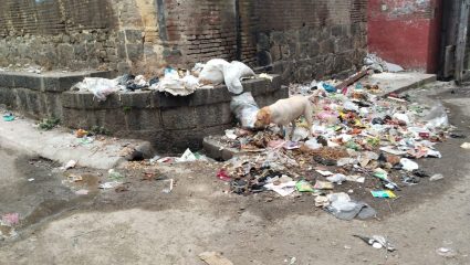 वाई शहरात साथीच्या रोगांचे सावट, नगरपरिषदेच्या निष्क्रियतेवर नागरिक संतप्त