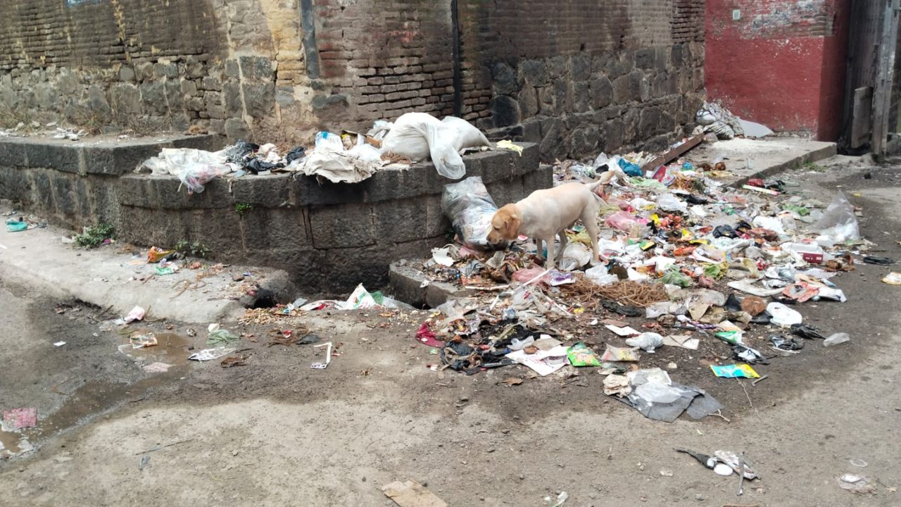 वाई शहरात साथीच्या रोगांचे सावट, नगरपरिषदेच्या निष्क्रियतेवर नागरिक संतप्त