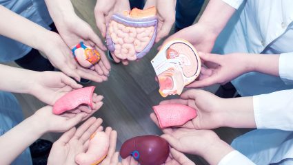 World Organ Donation Day: एका निर्णयातून वाचू शकतात 8 जीव; जाणून घ्या ‘जागतिक अवयव दान दिना’चे महत्त्व अन् वास्तव