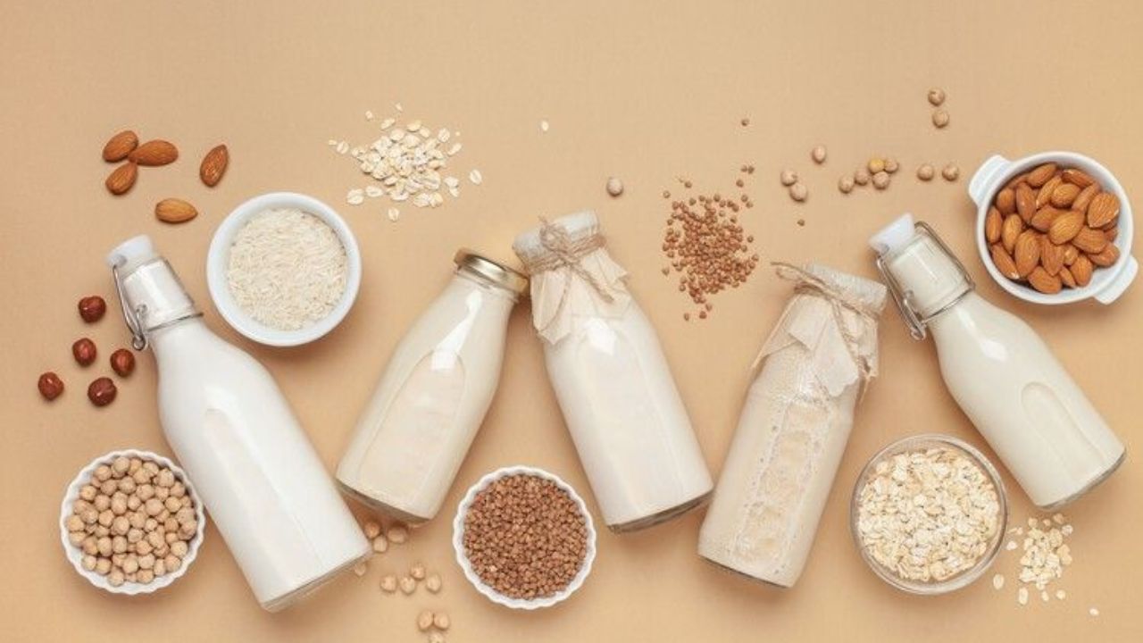 World Plant Milk Day 2026: हृदयरोग आणि अपचनावर मात! जाणून घ्या बदाम आणि सोया दूध पिण्याचे थक्क करणारे आरोग्यदायी फायदे