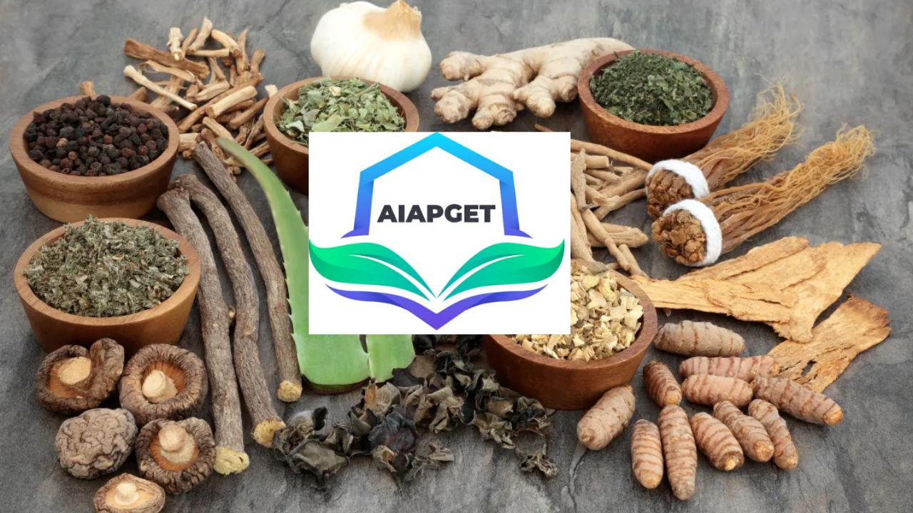 AIAPGET २०२६ परीक्षा केंद्रावर वीज गेल्याने रद्द; आता ‘या’ दिवशी होणार पुन्हा परीक्षा, जाणून घ्या सविस्तर!