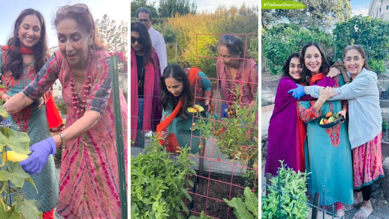 Ashwini Bhave USA Home: अश्विनी भावेंच्या अमेरिकेतील घरी मराठी कलाकारांची खास भेट; घराजवळची बाग पाहून नीना कुलकर्णी भारावल्या
