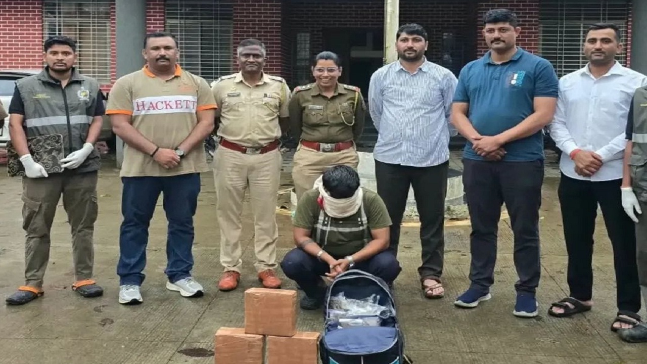 लोणावळा ग्रामीण हद्दीत गांजाची तस्करी उघड, 8.5 किलो गांजा जप्त; तरुणाला ठोकल्या बेड्या
