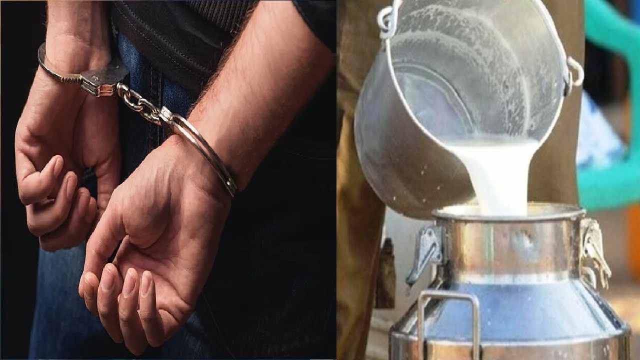 दूध भेसळ प्रकरणात मोठी अपडेट, आणखी दहा जणांना ठोकल्या बेड्या; मंचर पोलिसांची मोठी कारवाई
