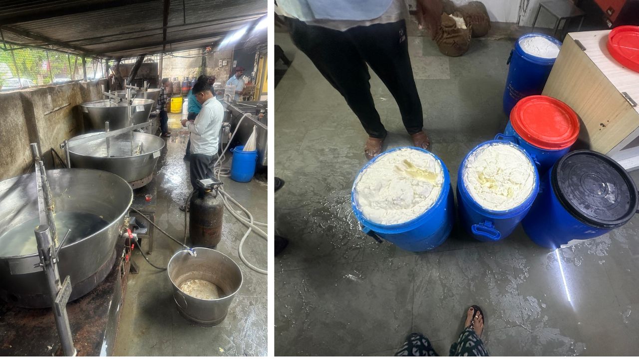 FDA Raid: नॉन-फूड ग्रेड तेलाचा वापर करून तूप-पनीर निर्मिती? अमोल दूध डेअरीवर छापा, छत्रपती संभाजीनगरमधून ठा साठा जप्त