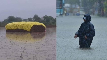 Buldhana News: अतिवृष्टीचा कहर; पावसाने जिल्ह्यात घातले थैमान, चोवीस तासात चार बळी