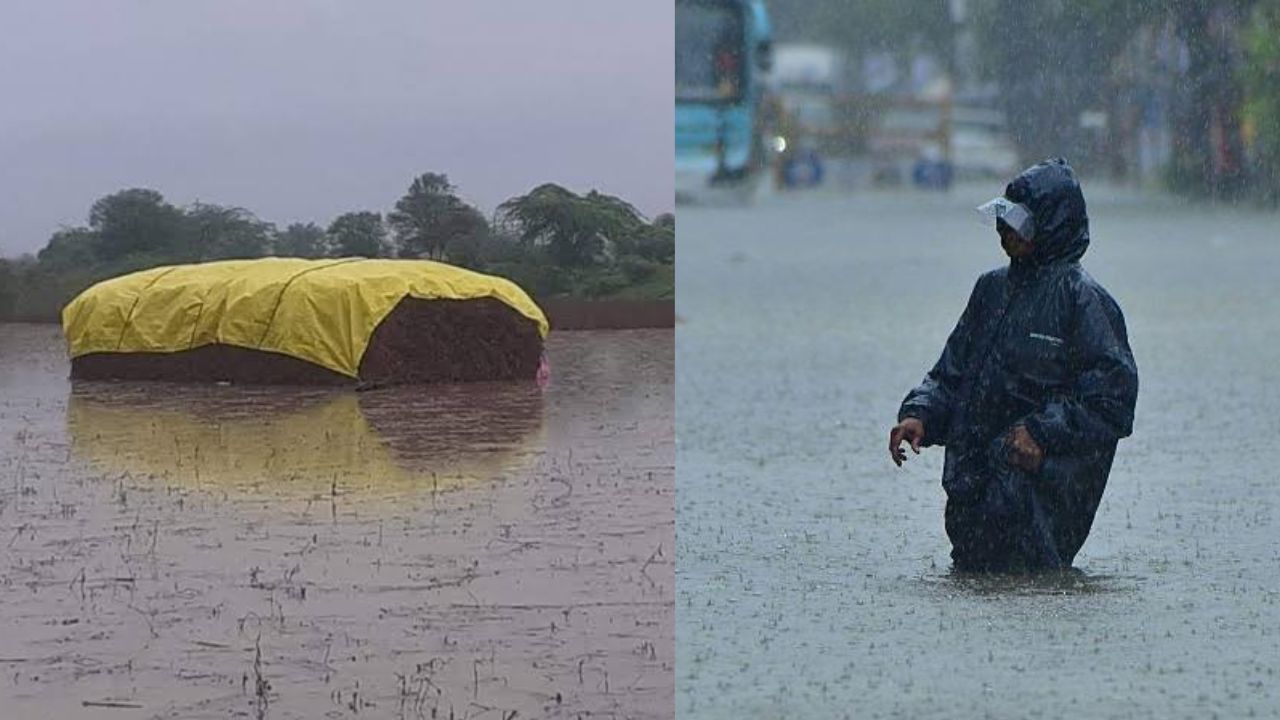 Buldhana News: अतिवृष्टीचा कहर; पावसाने जिल्ह्यात घातले थैमान, चोवीस तासात चार बळी