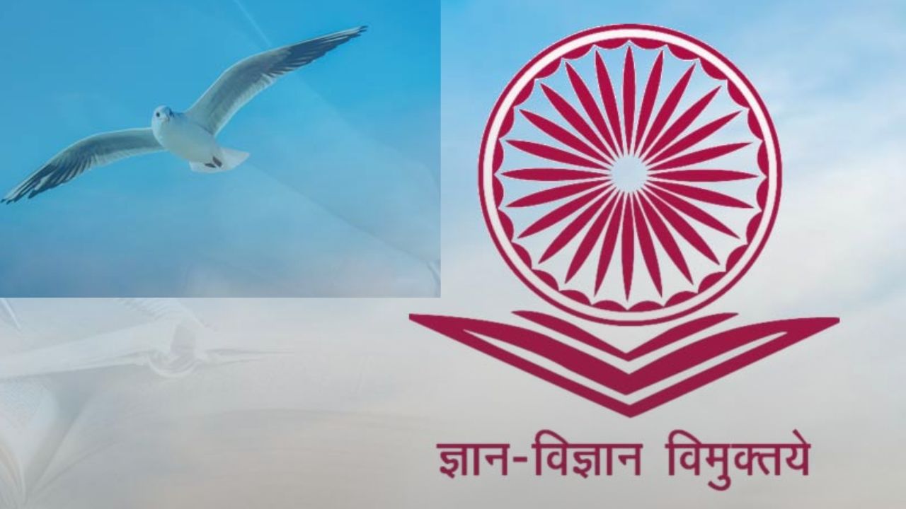 उमेदवारांची प्रतीक्षा संपली! UGC NET जून २०२६ ची प्रोविजनल आन्सर की जाहीर; तुमचे संभाव्य गुण कसे तपासायचे? जाणून घ्या