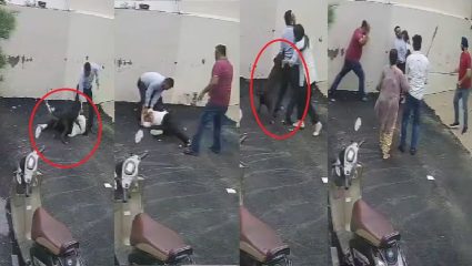 Patiala Pitbull Attack: ‘जबड्यात जो आला तो गेला! घर पाहण्यासाठी गेलेल्या जोडप्यावर पिटबुल कुत्र्याचा हल्ला, घटनेचा VIDEO समोर