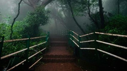 आशियातील एकमेव असे हिल स्टेशन जिथे गाड्यांना नो एंट्री; इंग्रजांनी शोधले होते महाराष्ट्रातील हे सुंदर ठिकाण