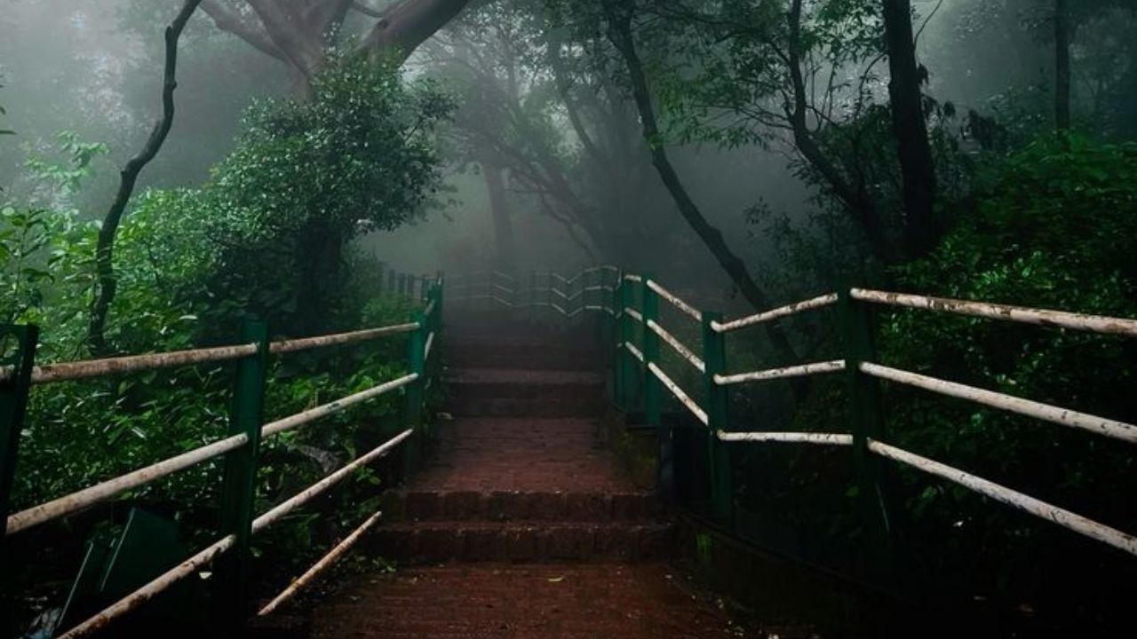 आशियातील एकमेव असे हिल स्टेशन जिथे गाड्यांना नो एंट्री; इंग्रजांनी शोधले होते महाराष्ट्रातील हे सुंदर ठिकाण