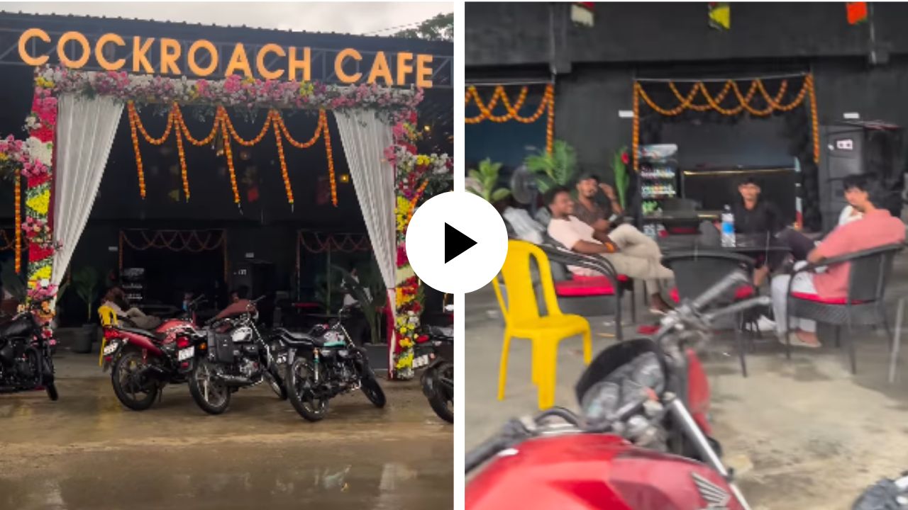 काय सांगता! मार्केटमध्ये आला कॉकरोच कॅफे, नेटकरी म्हणाले ‘इथे चहा ऑर्डर करायचा की हिट स्प्रे?’; Video Viral