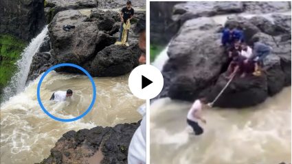 यमराज घ्यायला आलेच होते तितक्यात… मृत्यूपासून एक इंच दूर होता तरुण, साडीचा आधाराने वाचला जीव; थरारक Video Viral