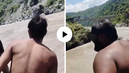 ‘५ लाख घ्या, पण भावाला वाचवा…’; भावाच्या डोळ्यांसमोर कांवडिया गंगेत बुडाला, हृदयद्रावक Video Viral