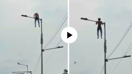 हा फिटनेसचा ओव्हरडोस! स्ट्रीट लाईटच्या खांब्यावर चढून मारले पुश-अप्स; VIDEO पाहून नेटकरी म्हणाले, ‘वो अलग ही लेव्हल का बंदा था’