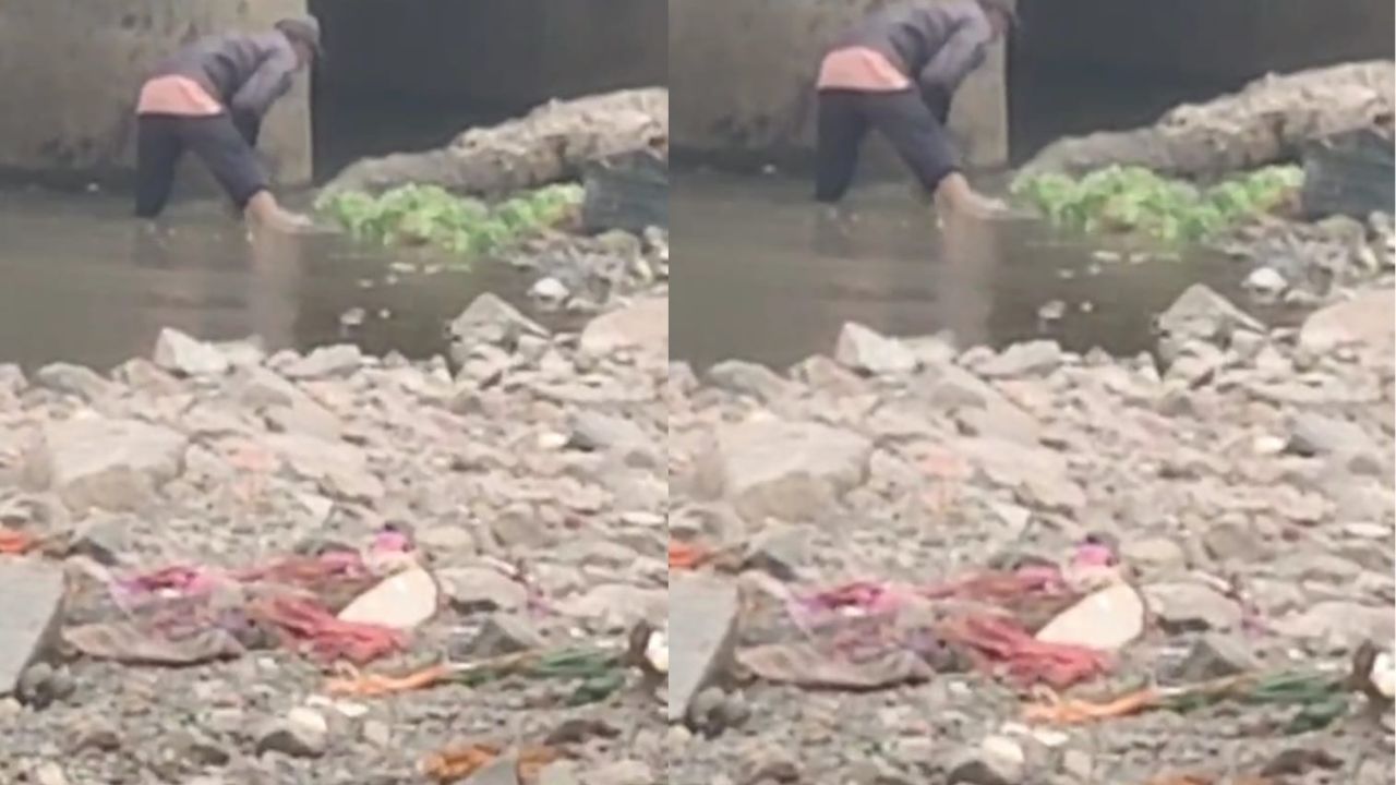 Satara : वाईच्या आठवडी बाजारात अस्वच्छ पाण्यात भाजी धुण्याचा प्रकार; नागरिकांच्या आरोग्याचा प्रश्न ऐरणीवर