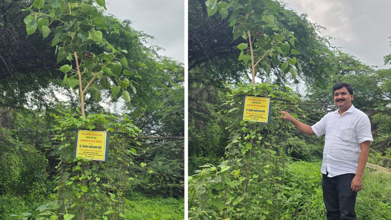 Ahilyanagar news: अहिल्यानगरच्या कर्जतमध्ये पर्यावरणपूरक उपक्रम; आईच्या नावाने लावली ७० झाडे