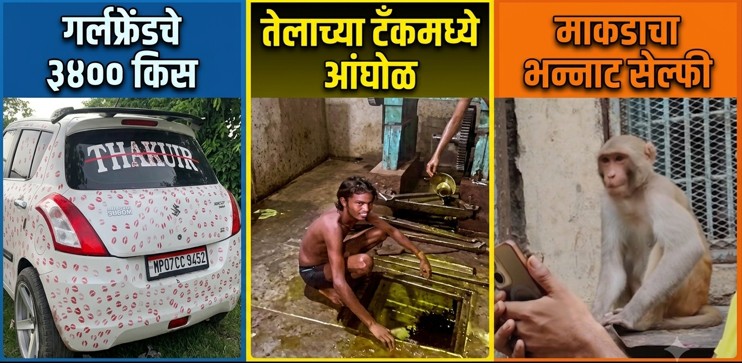 गर्लफ्रेंडचे ३४०० किसेस, तेलाच्या टँकमध्ये अंघोळ अन् माकडाचा भन्नाट सेल्फी; VIDEO व्हायरल