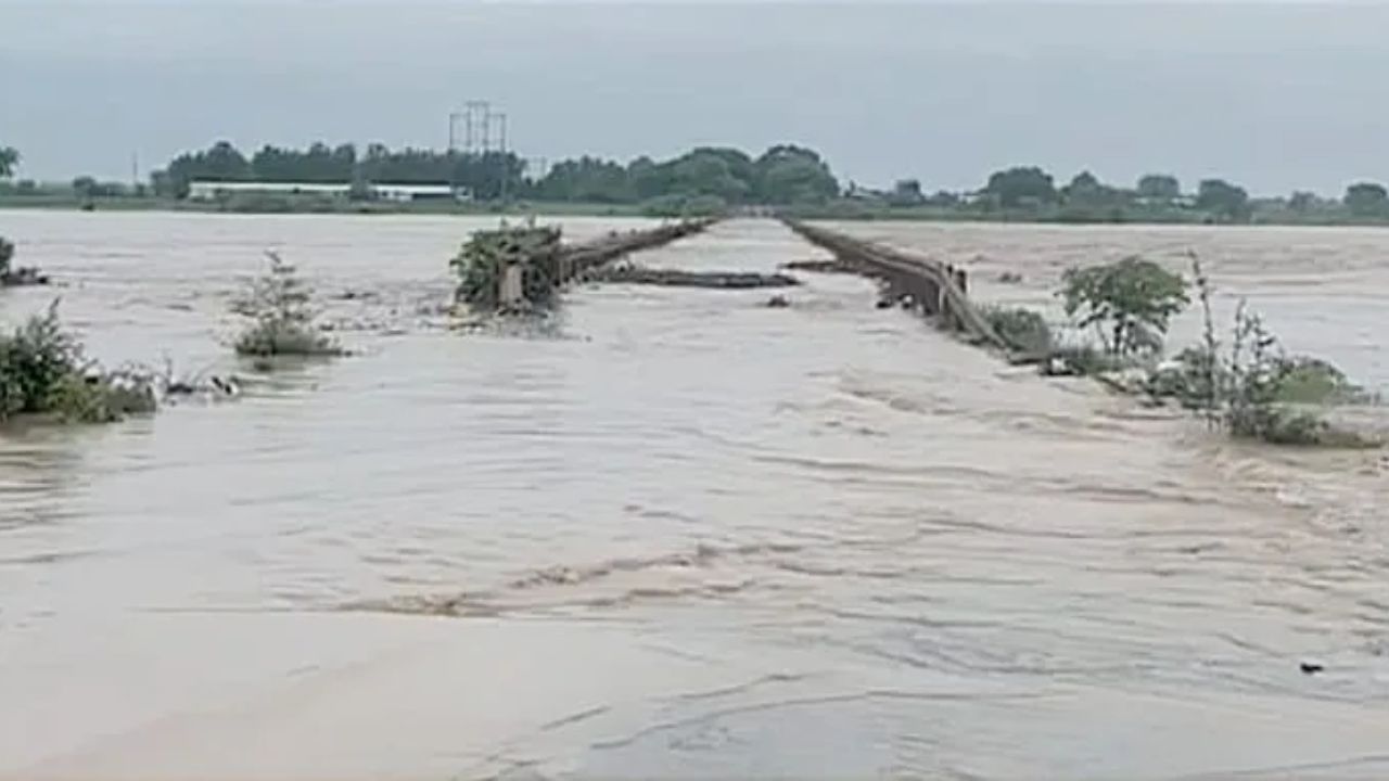 Wardha News : भोसा बंधाऱ्याने बुडवला खरीप हंगाम, कचरा साचल्याने नदीचा प्रवाह ठप्प; शेकडो एकर पिके जलमय