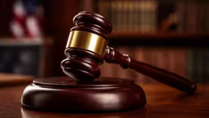 High Court Big Decision : फ्लॅटधारकांसाठी हायकोर्टाचा ऐतिहासिक निर्णय! इमारतीसह संपूर्ण जमिनीवर सोसायट्यांचाच हक्क