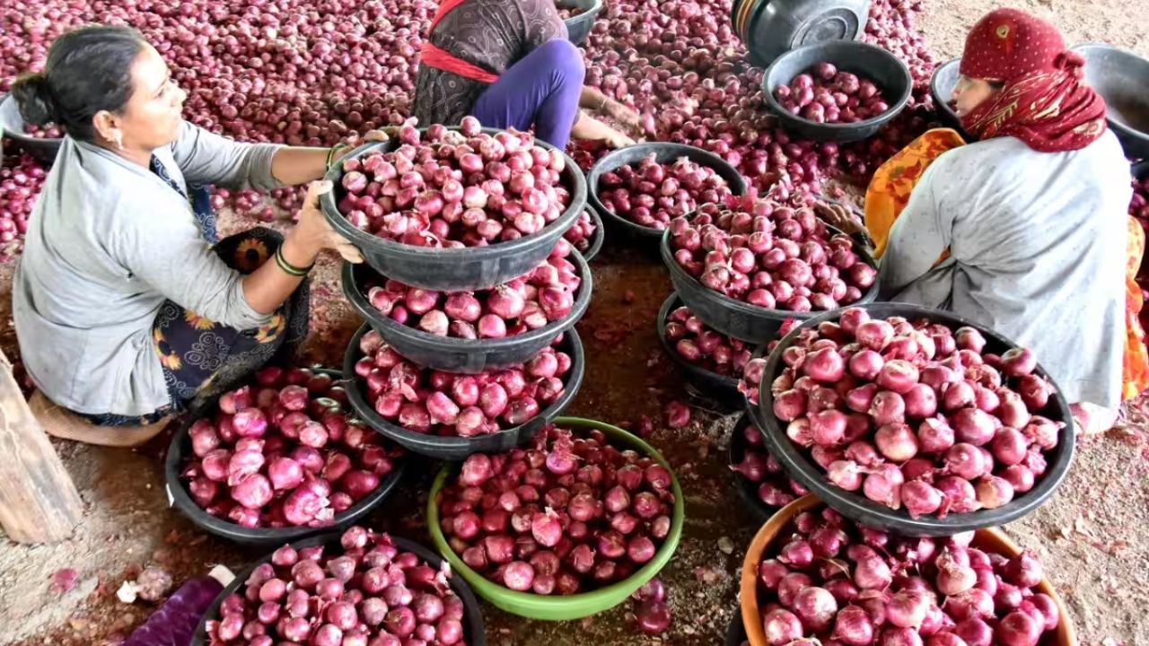 Onion Price Hike Relief : हुशश… कांद्याचे भाव गडगडले! केंद्र सरकारच्या ‘या’ निर्णयाचा ग्राहकांना मोठा फायदा!