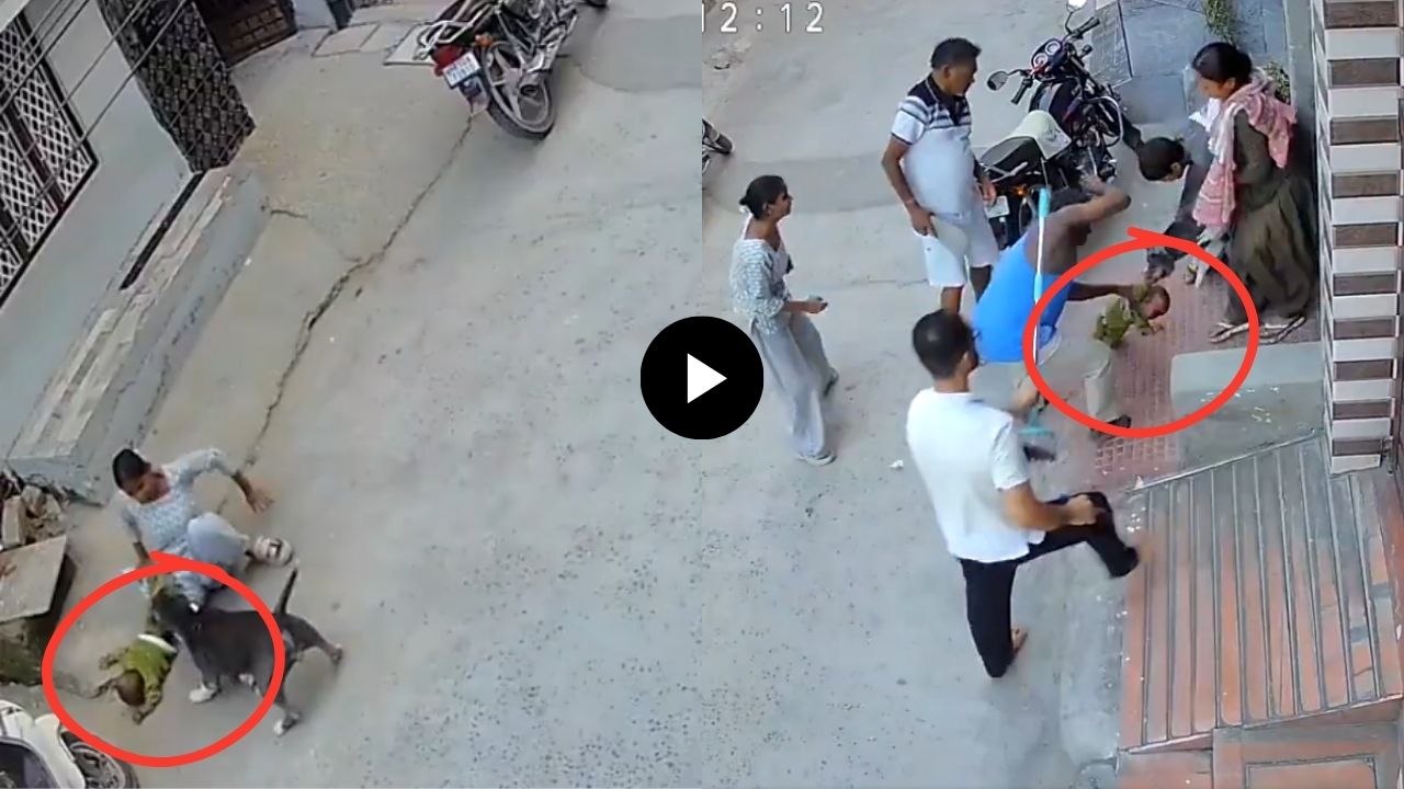 Viral Video: दरवाजा उघडताच पिटबुलची बाळावर झडप; बाळ रक्तबंबाळ, VIDEO पाहून डोळ्यात पाणी