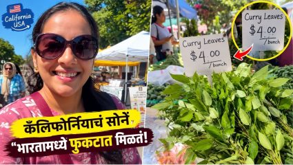 Viral Video: भारतात सहज मिळतो, पण अमेरिकेत चक्क सोन्याच्या भावात! कडीपत्त्याची किंमत ऐकून तुम्हीही अवाक् व्हाल