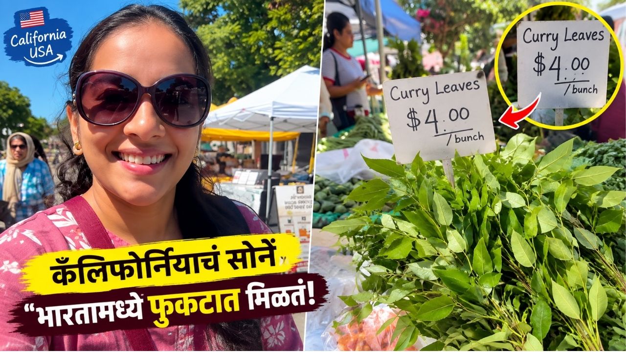 Viral Video: भारतात सहज मिळतो, पण अमेरिकेत चक्क सोन्याच्या भावात! कडीपत्त्याची किंमत ऐकून तुम्हीही अवाक् व्हाल