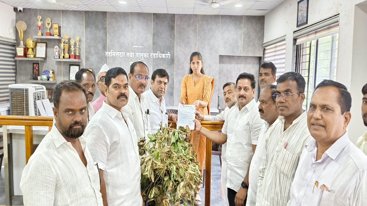Dharashiv News: शेतकऱ्यांना दुष्काळाचा फटका; पीकविमा, अनुदानासह तातडीच्या मदतीची काँग्रेसची मागणी